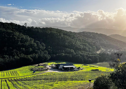 Maha Estate Immersive Vineyard Experience for Four