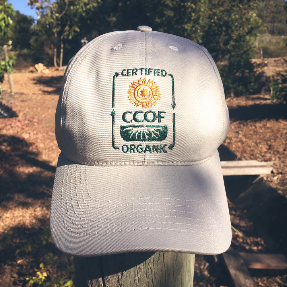 CCOF Baseball-Style Embroidered Logo Hat