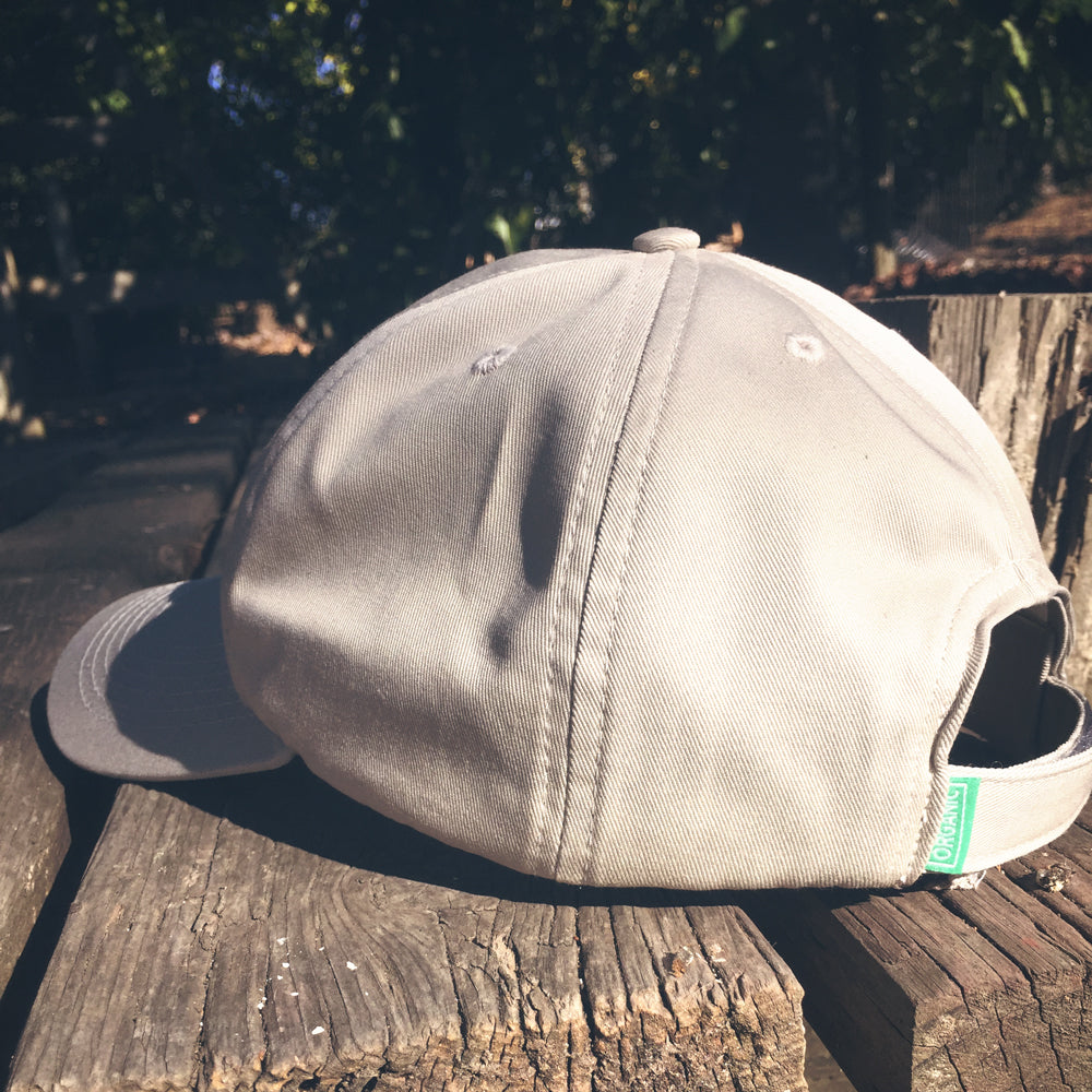 CCOF Baseball-Style Embroidered Logo Hat