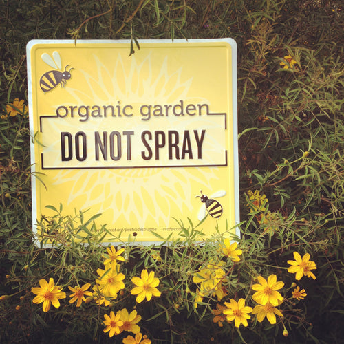 Organic Garden Sign in the garden