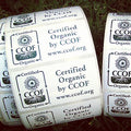 Rectangle “Certified Organic by CCOF” Labels